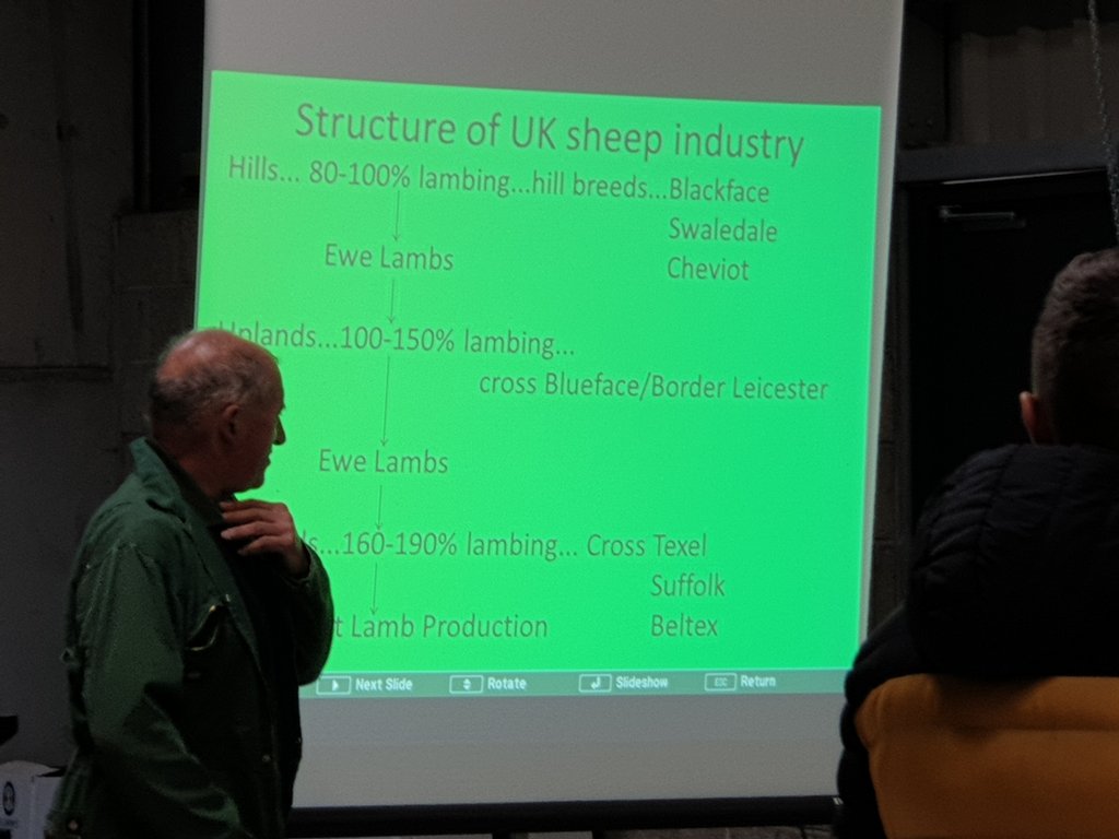 hnutcatering's tweet image. Starting with a very informative talk from farmer Ian Brunton on the life of a sheep @carole_brunton @qmscotland @SavourStAndrews #meatwithintegrity #scotchlambpgi
