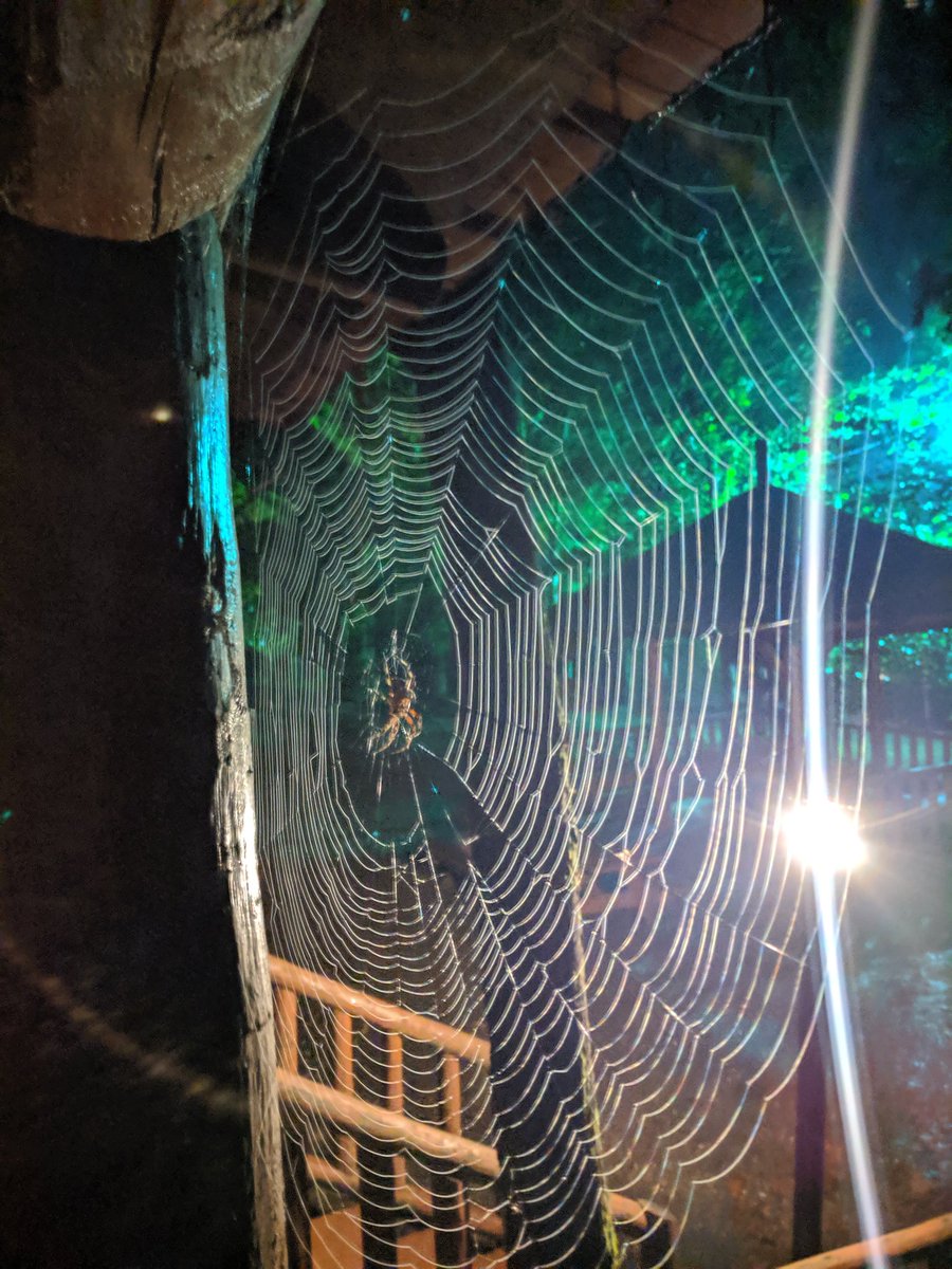 marklandrumnet's tweet image. Good morning Oklahoma!  And goodbye.  You were lovely.  #teampixel #nightsight