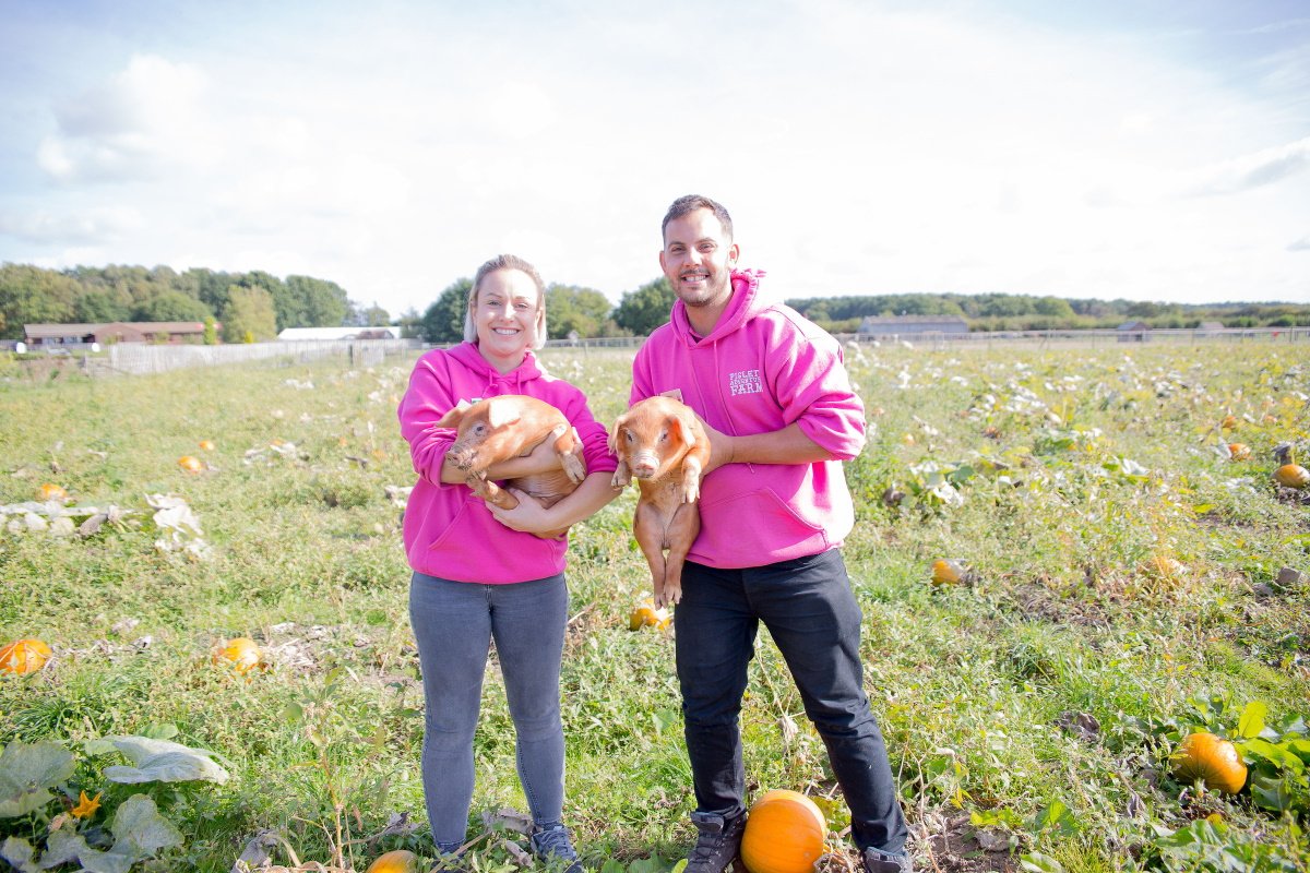 Piglets help turn pumpkins orange in York
#Piglets #Pumpkins #Halloween #York #Yorkshire <a href="/PigletsFarmPark/">Piglets</a>
yorkshiretimes.co.uk/article/Piglet…