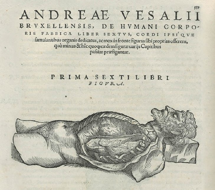 cateterdoblej's tweet photo. El 15/10/1564 falleció Andrés Vesalio, que publicó en 1543 uno de los libros más influyentes sobre anatomía humana de su tiempo "De humani corporis fabrica libri septem" (De la estructura del cuerpo humano en siete libros) https://t.co/8SBNmCT8gx