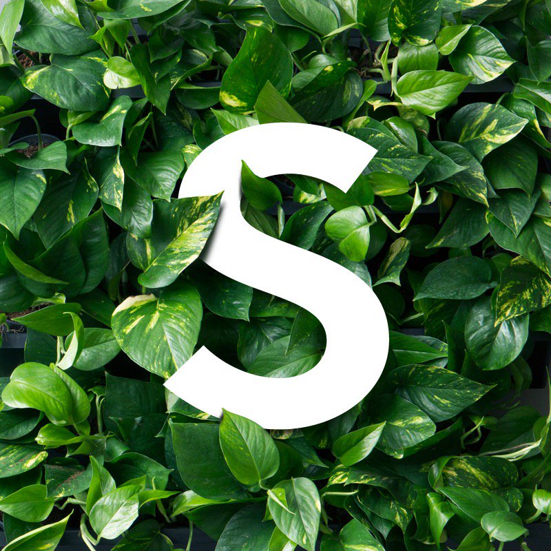 skogluft's tweet photo. We are on a mission to bring a natural living environment back to the home and workplace #SKOGLUFT
https://t.co/VBG1zNdvXw
#greencity #designforwellbeing #plantsininteriors #plant #plantlove #cityliving #health #yourwellness #greenoffice #greenliving #airpurifiers #innemiljø https://t.co/fzQjbnCW6d