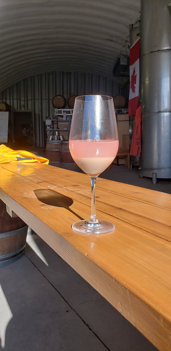 The 2019 #BlancDeMerlot is in the tank.   Tastes like strawberry kiwis juice.
#BCWine #OrganicWine