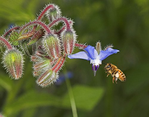 L’#agricoltura che usa i #pesticidi è la prima causa della perdita di #biodiversità in #Europa 🇪🇺

Dobbiamo dire #Stop_Pesticidi per promuovere l'agroecologia 🌿che ci permette di conservare la #natura.