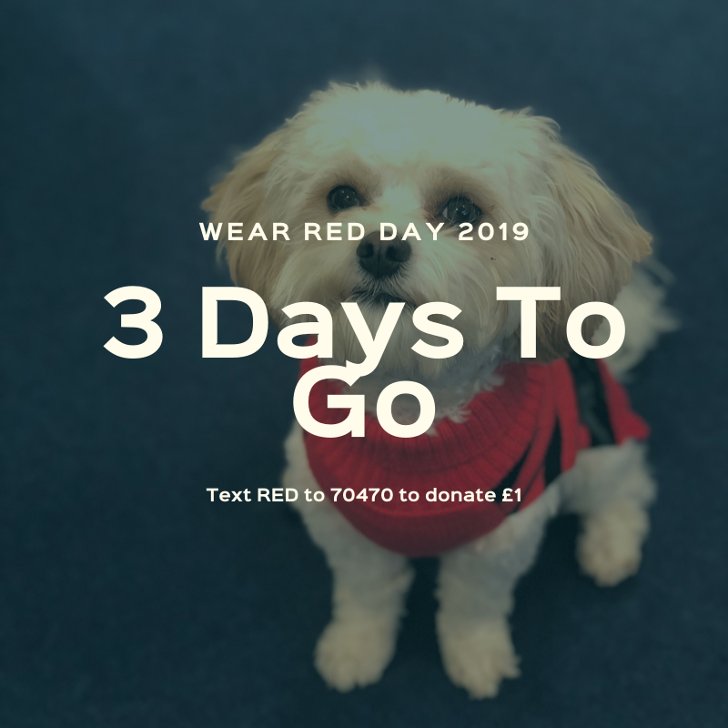 SRTRC_England's tweet photo. 3 days and counting until our biggest show of anti-racism solidarity EVER. We are united. Stand with us on #WRD19
Text 'RED' to 70470 to donate £1 (texts cost £1 + a standard rate message) https://t.co/G96oLTnZRv