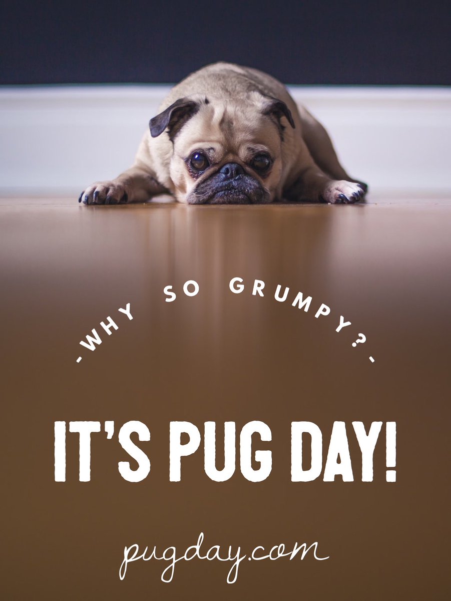 pug a day