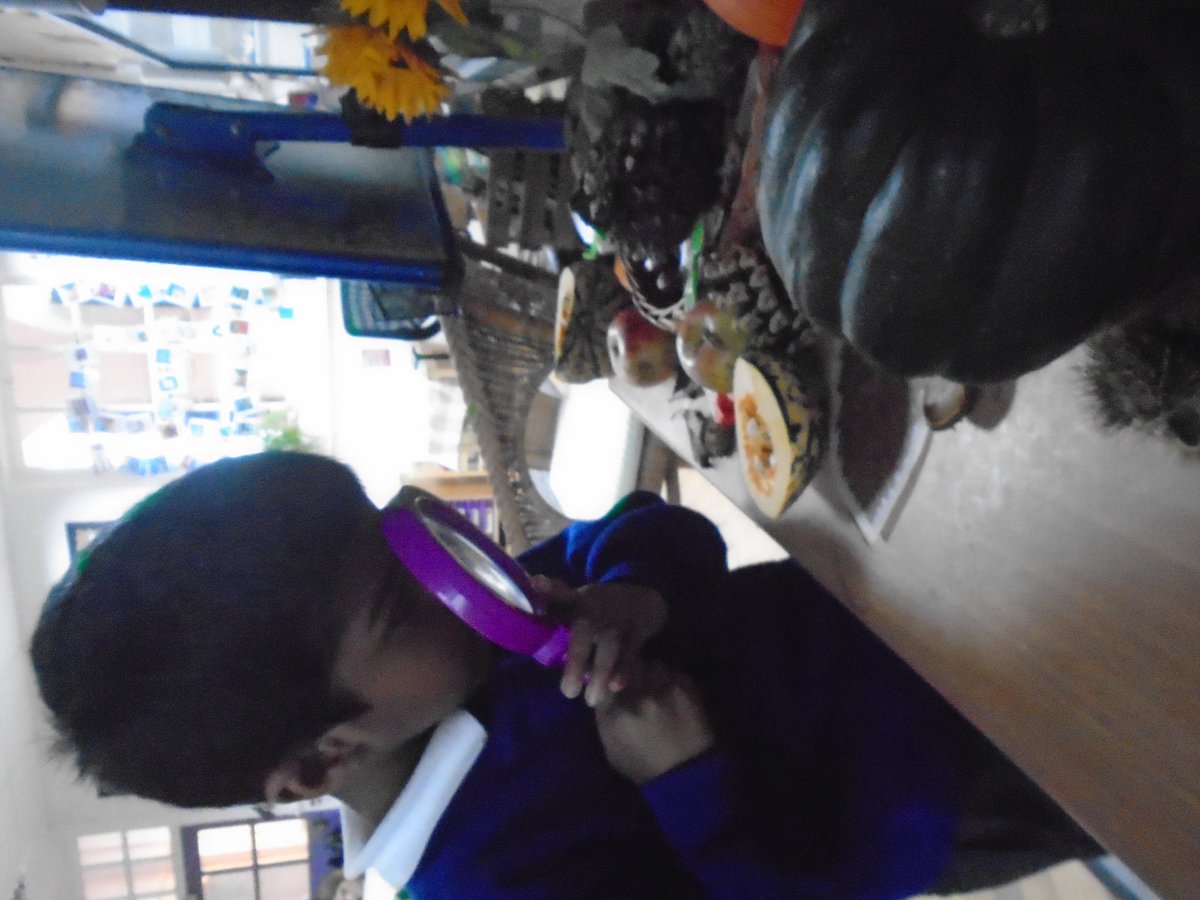 The Inquisitive Child at Colmore Infants tweet media