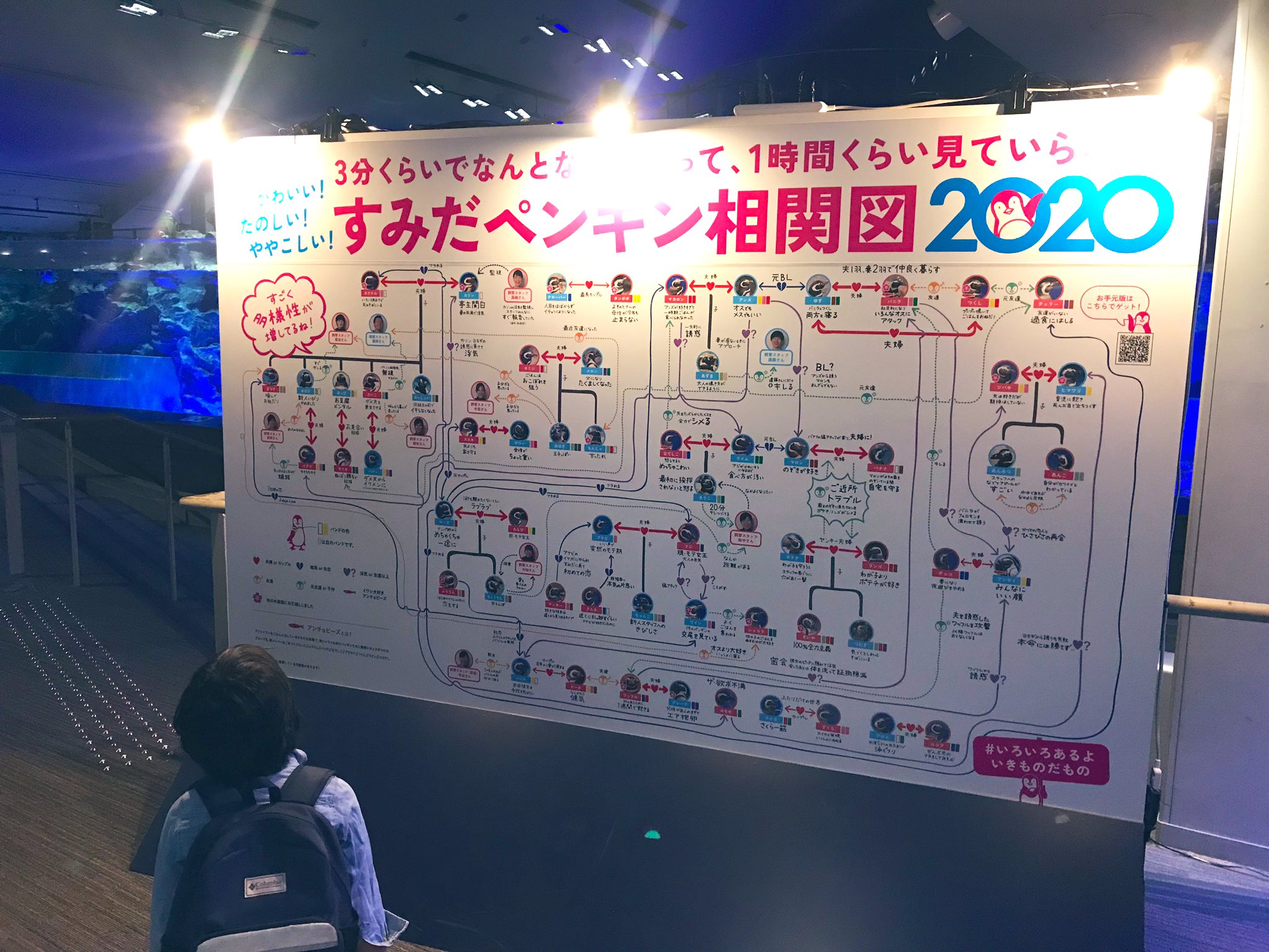 すみだ水族館 公式 いつもすみだ水族館のペンギンたちを応援いただきありがとうございます 13日より ペンギン相関図 を公開いたしました 今年の相関図では飼育スタッフとの関係性も見れちゃいます あなたの