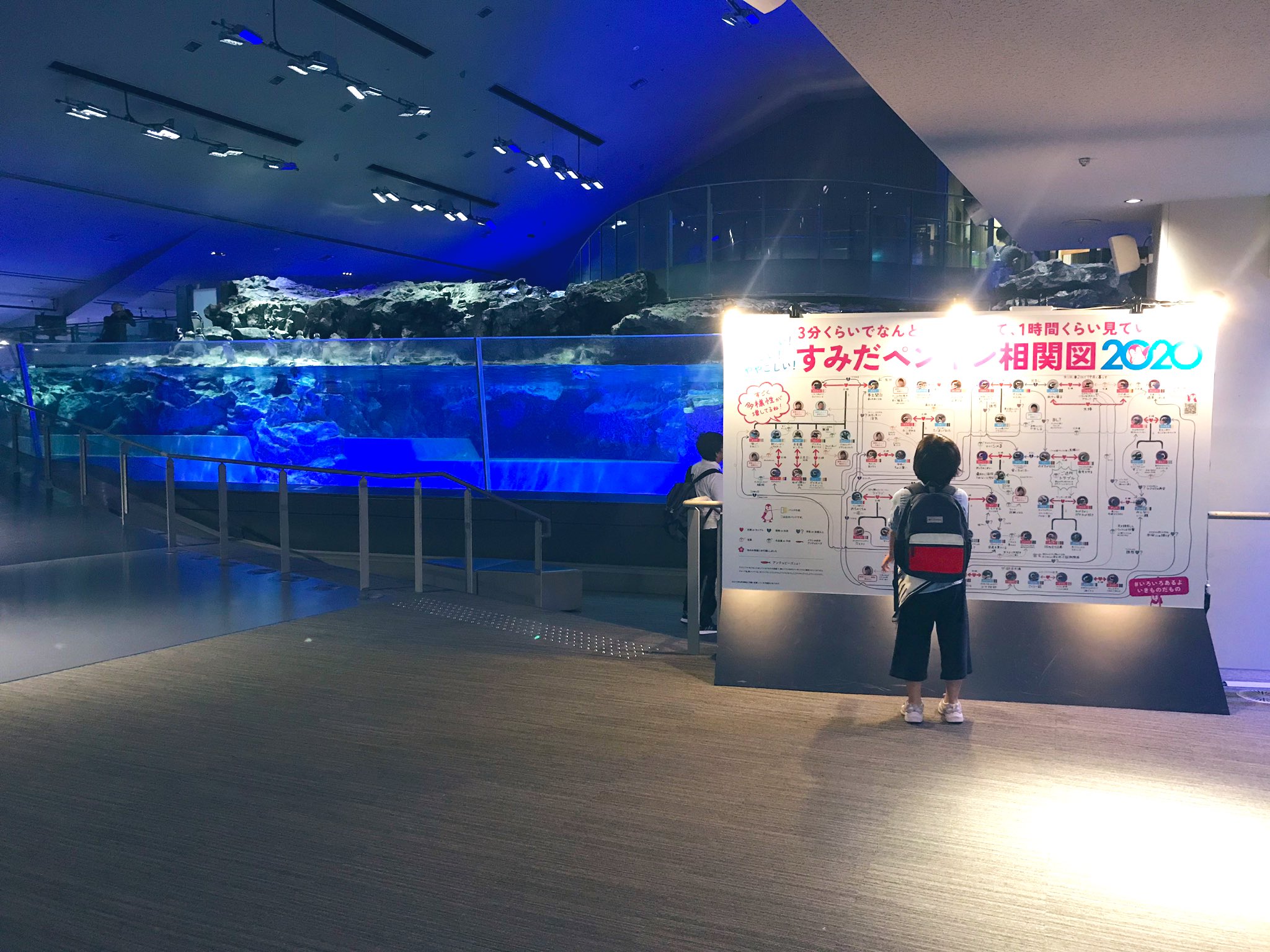 すみだ水族館 公式 いつもすみだ水族館のペンギンたちを応援いただきありがとうございます 13日より ペンギン相関図 を公開いたしました 今年の相関図では飼育スタッフとの関係性も見れちゃいます あなたの推しペンはどう