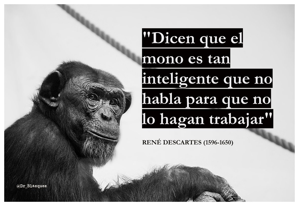 Frase René Descartes.