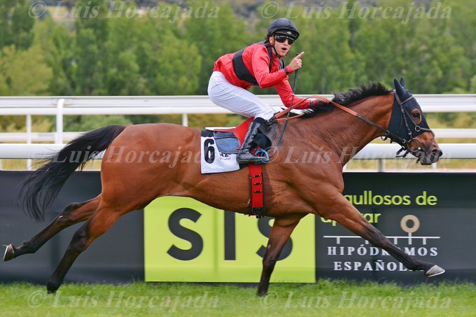 UMA 🏇 (@umaturf) on Twitter photo Lo ganó en 2017 y el domingo disputará de nuevo la prueba. 4º Gran Premio Memorial Duque de Toledo en <a href="/HipodromoMadrid/">Hipódromo de La Zarzuela</a> para TUVALU (Shirocco y Light Impact).
Hay caballos, hay historias, hay momentos, hay quereres...
¡Mucha suerte viejo!
Santa Bárbara
Osorio
<a href="/jgelabertb/">Jaime Gelabert</a> Lo ganó en 2017 y el domingo disputará de nuevo la prueba. 4º Gran Premio Memorial Duque de Toledo en <a href="/HipodromoMadrid/">Hipódromo de La Zarzuela</a> para TUVALU (Shirocco y Light Impact).
Hay caballos, hay historias, hay momentos, hay quereres...
¡Mucha suerte viejo!
Santa Bárbara
Osorio
<a href="/jgelabertb/">Jaime Gelabert</a>