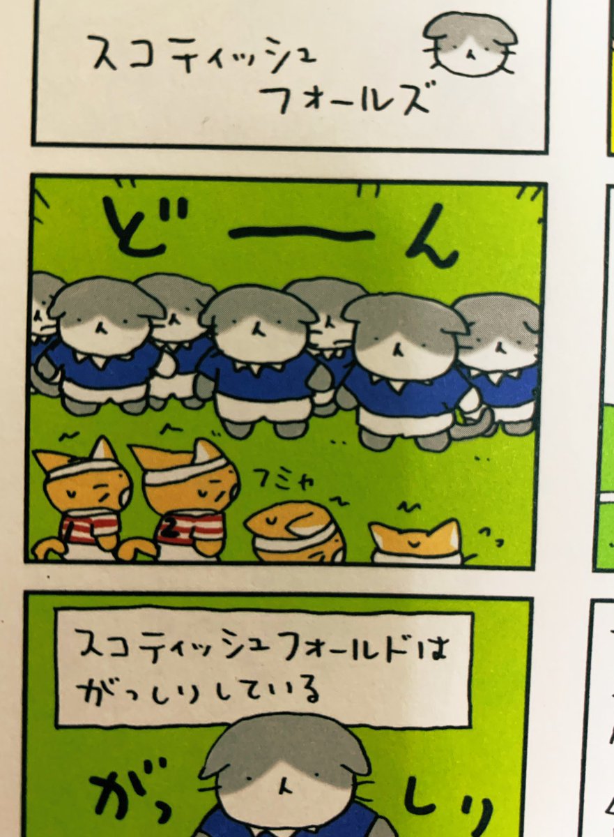 ラガーにゃん 公式 在 Twitter 上 スコットランド戦の余韻で夢から覚めやらぬ週半ば 時を同じくして開催中の 猫ラグビーワールドカップ 観戦はしてるかニャ 猫ラグビー界屈指の個性派チーム スコティッシュフォールズ の活躍に バッチリと目が覚めてしまう ラガーにゃん 公式 在 Twitter 上 スコットランド戦の余韻で夢から覚めやらぬ週半ば 時を同じくして開催中の 猫ラグビーワールドカップ 観戦はしてるかニャ 猫ラグビー界屈指の個性派チーム スコティッシュフォールズ の活躍に バッチリと目が覚めてしまう