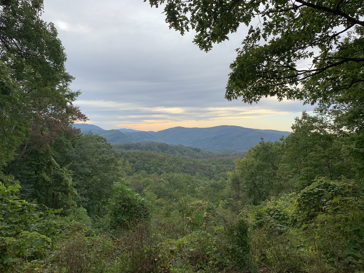 Melissa Rivera tweet media