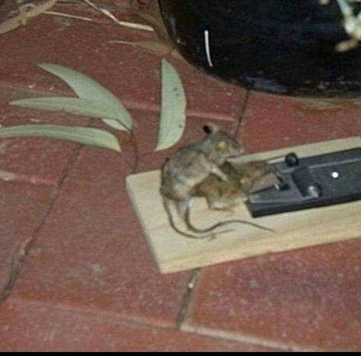 LNotions's tweet image. This could be us but you playin