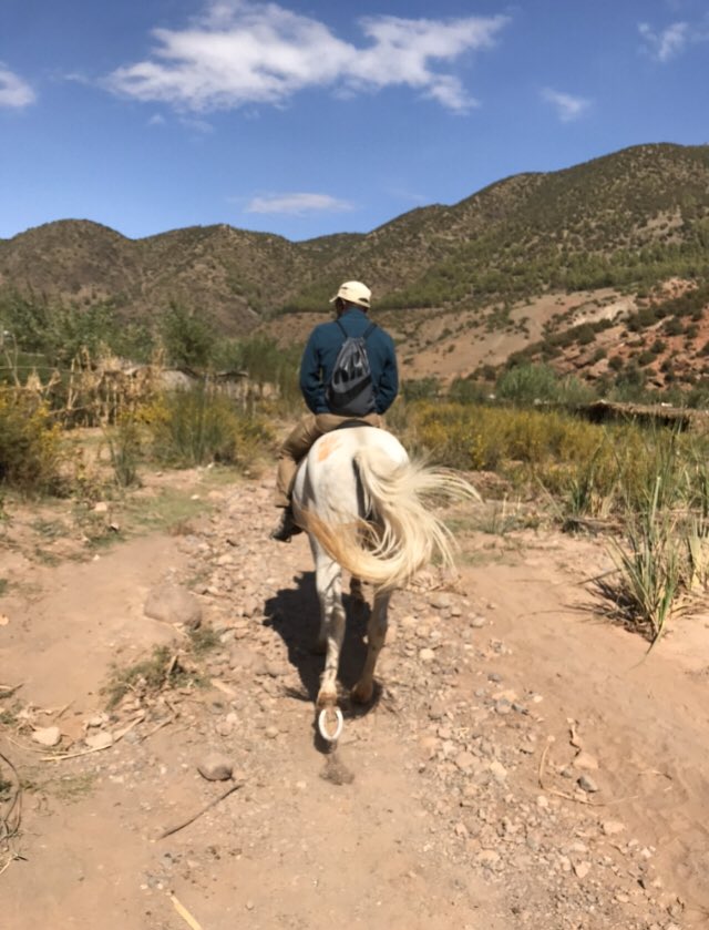 LutumbaP's tweet photo. Carnet de voyage. Visite du terrain au pays berbères du #Maroc: production de l’huile d’#argane et excursion dans la vallée de l’Ourika &amp; les montagnes de l’#Atlas. https://t.co/fSCfGXujGR