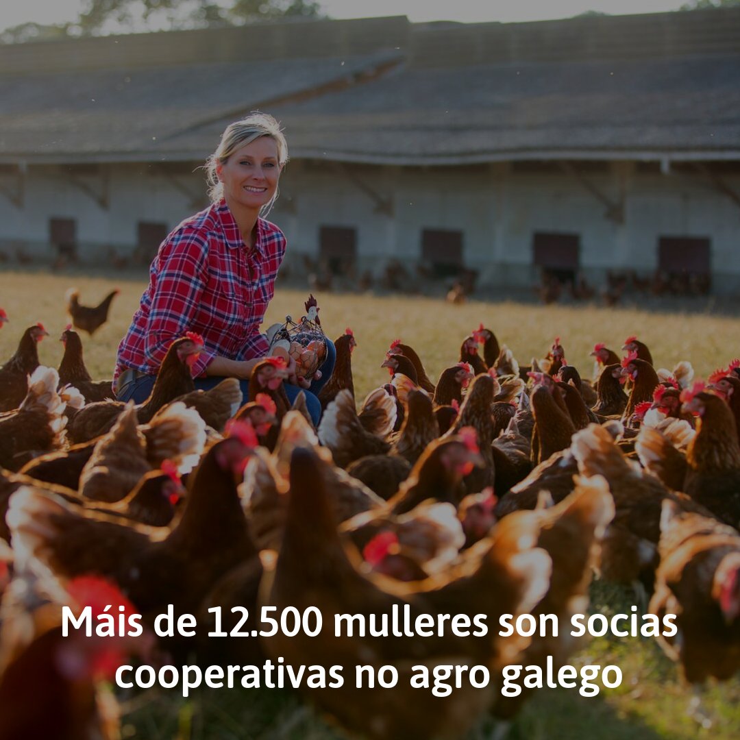 eusumogal's tweet photo. Día da #MullerRural | No #rural galego hai miles de exemplos de mulleres que emprenden e crean o seu modo de vida. E miles delas tamén o fan desde a #EconomíaSocial https://t.co/oBxPgODMvx