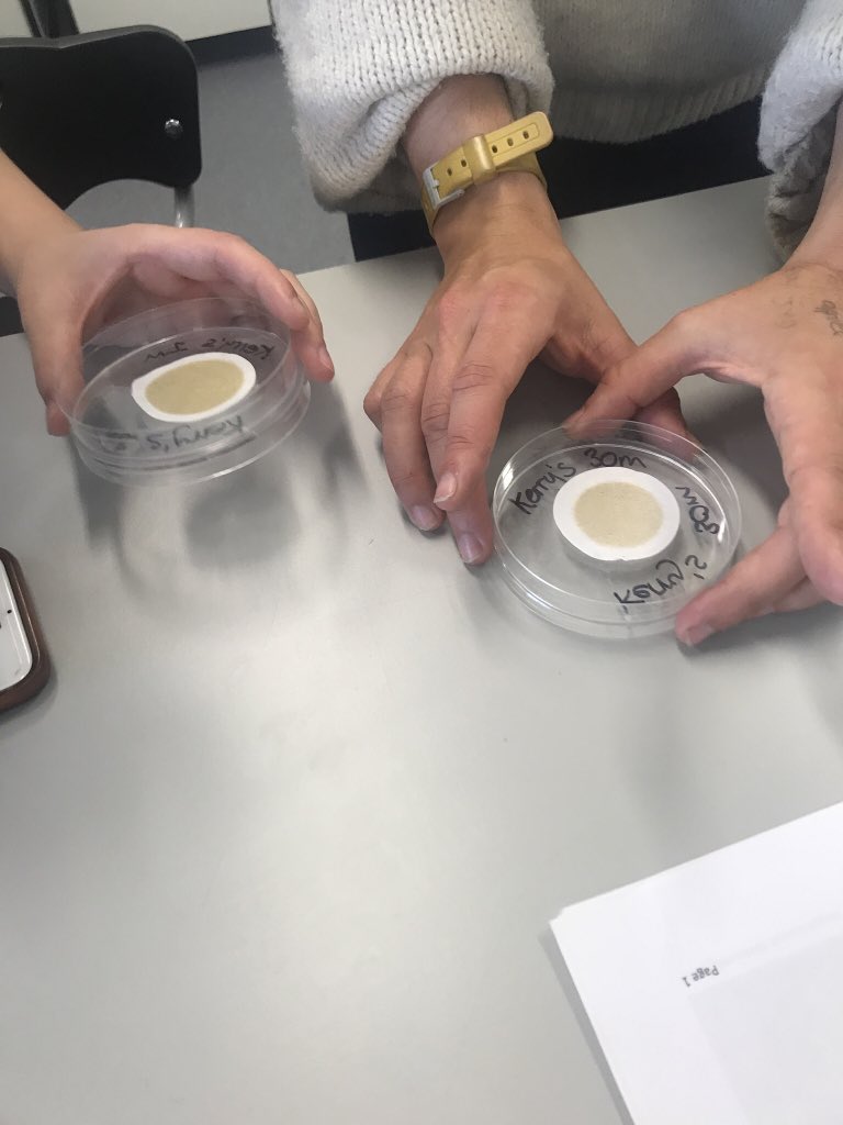 emyirving's tweet photo. First day of field week! Started the week off with a bang, using CTD to take water samples in the wonderful Plymouth Sound. Back at the Marine Station, we used a sediment filtration device and tried to get to grips with charts. Awesome start! #plymbio https://t.co/RFvSvYMj2D