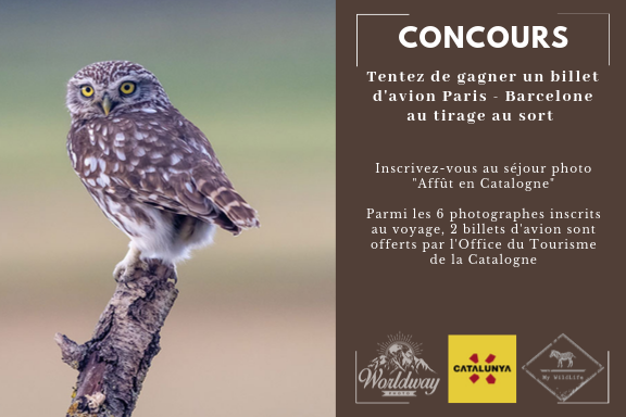J'encadre un séjour photo en affût en #Catalogne en mai 2020. Et bien, l'OT de la Catalogne offre 2 billets d'avion à 2 des 6 inscrits au voyage. C'est pas cool ça ? Vous avez jusqu'au 30/11.

Inscription ici my-wildlife.com/sejour-affut-e…
Règlement du jeu worldwayphoto.fr/app/webroot/im…