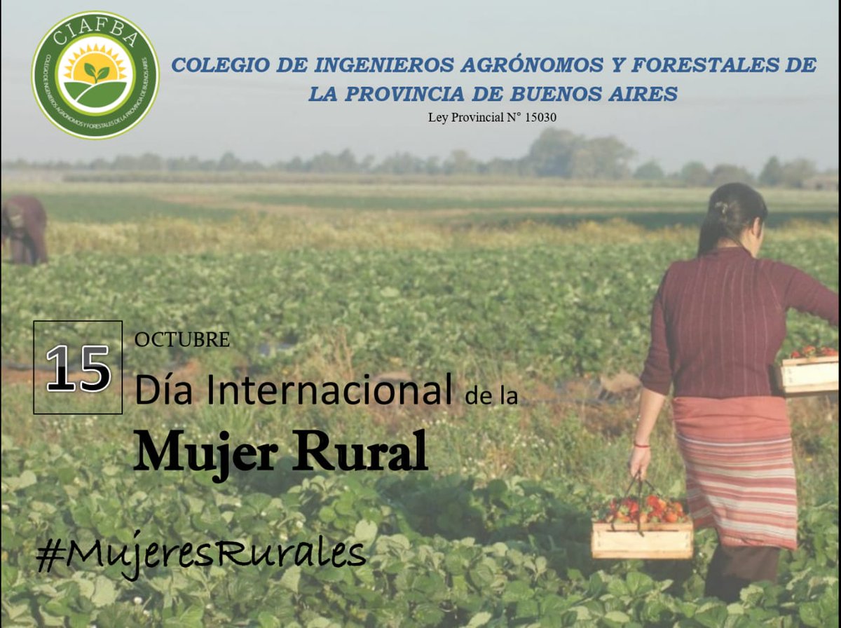 CIAFBA OFICIAL tweet media