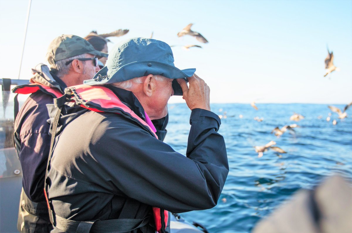 #Natur-Liebhaber aus 36 Ländern haben in #Portugal, an der #Algarve, gerade 217 Arten von Zug-, See- und Greif-Vögeln beobachten können: algarve-entdecker.com/2019/10/vogelb… #Sagres, @turismo_algarve <a href="/spea_birdlife/">SPEA</a> <a href="/VisitportugalDE/">VisitportugalDE</a> <a href="/visitportugal/">Visit Portugal</a> <a href="/FAZ_Reise/">FAZ  Reise</a> <a href="/WELT_Reise/">WELT Reise</a> <a href="/SZ_Reise/">SZ Reise</a> <a href="/stern_reise/">stern Reise</a>