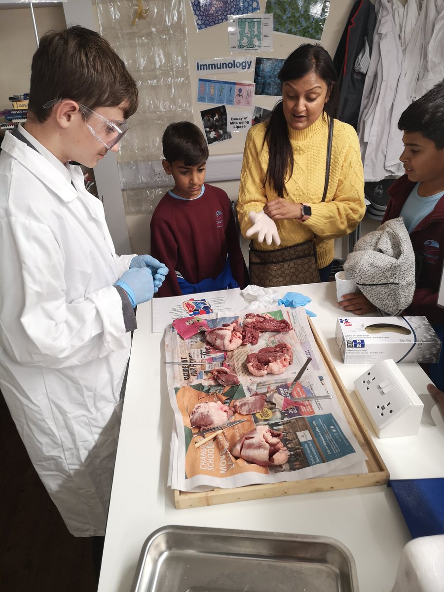 DrBio4's tweet photo. Open heart dissection
Open evening at East London science school
#elss_freeschool https://t.co/QXe45AsV6r