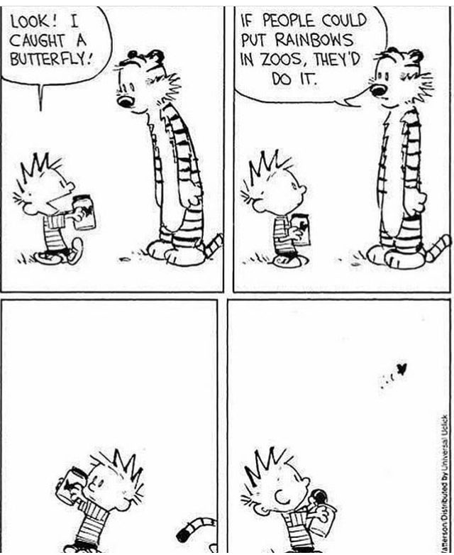 …