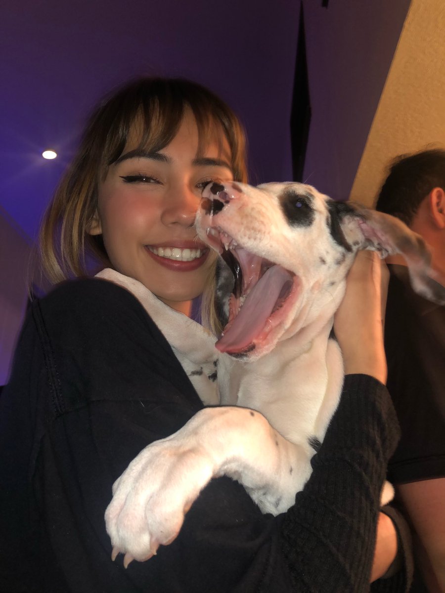 haleyluve's tweet photo. i found a puppy at the party https://t.co/jWpCfaFEyh