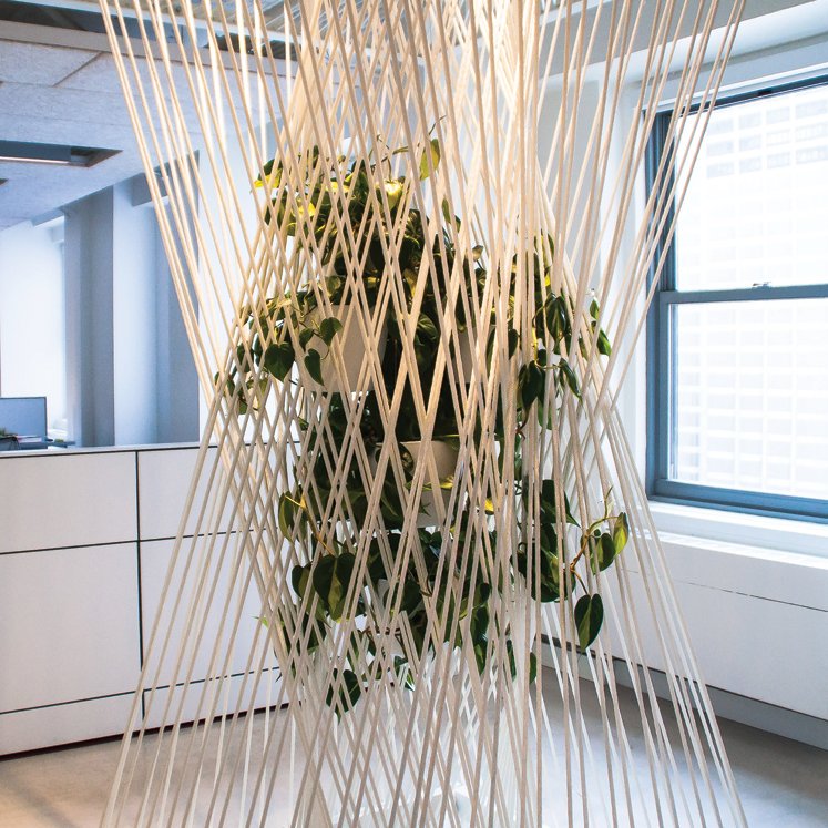 ECOS Paints tweet media