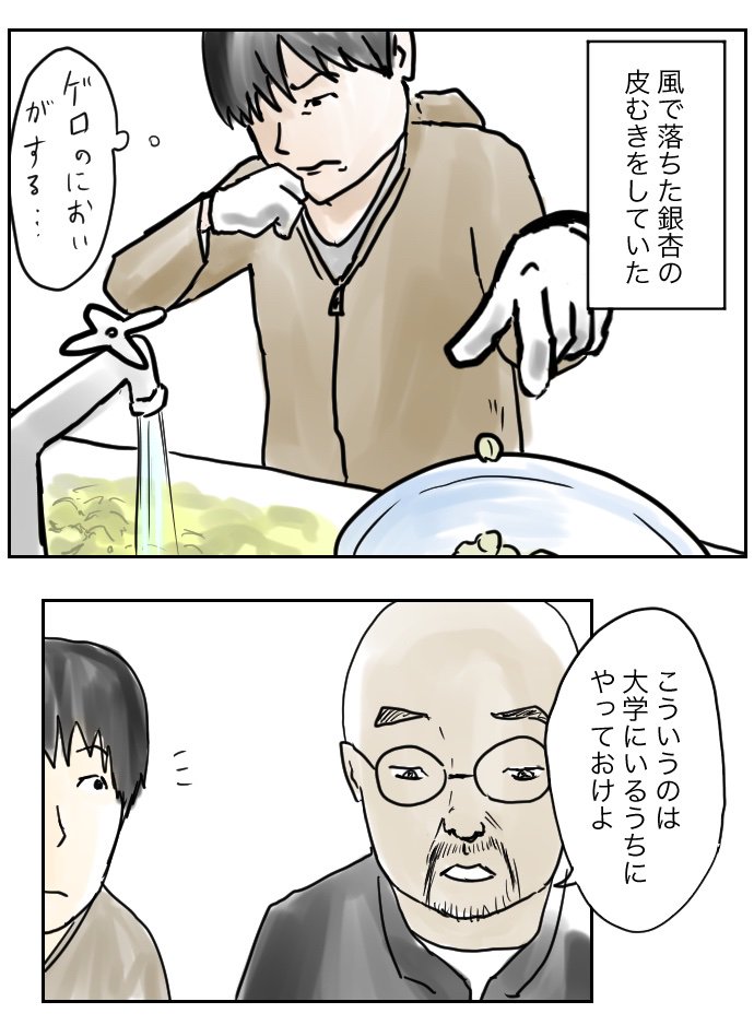 いつも茶碗蒸しに入っている銀杏に対しては「こいつこんなに不味いのによく茶碗蒸しに入ってこれたな・・・」と思ってしまうのですが、自分で拾ったやつは臭みが少なくて美味しく食べられました。
新鮮なものが一番。

#コルクラボマンガ専科 