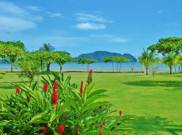 muchosviajes's tweet photo. COSTA RICA SALVAJE Y PLAYAS DEL CARIBE EN 4X4
Reservas: https://t.co/DbuE67xoex
2 noches en San Jose, 2 noches en Parque Volcán Rincón de la Vieja, 2 noches en Volcán Arenal, 2 noches en Sarapiqui, 3 noches en Puerto Viejo de Talamanca
Coche de Alquiler
Traslados
Desde: 1301€ https://t.co/NjnioqY6B8