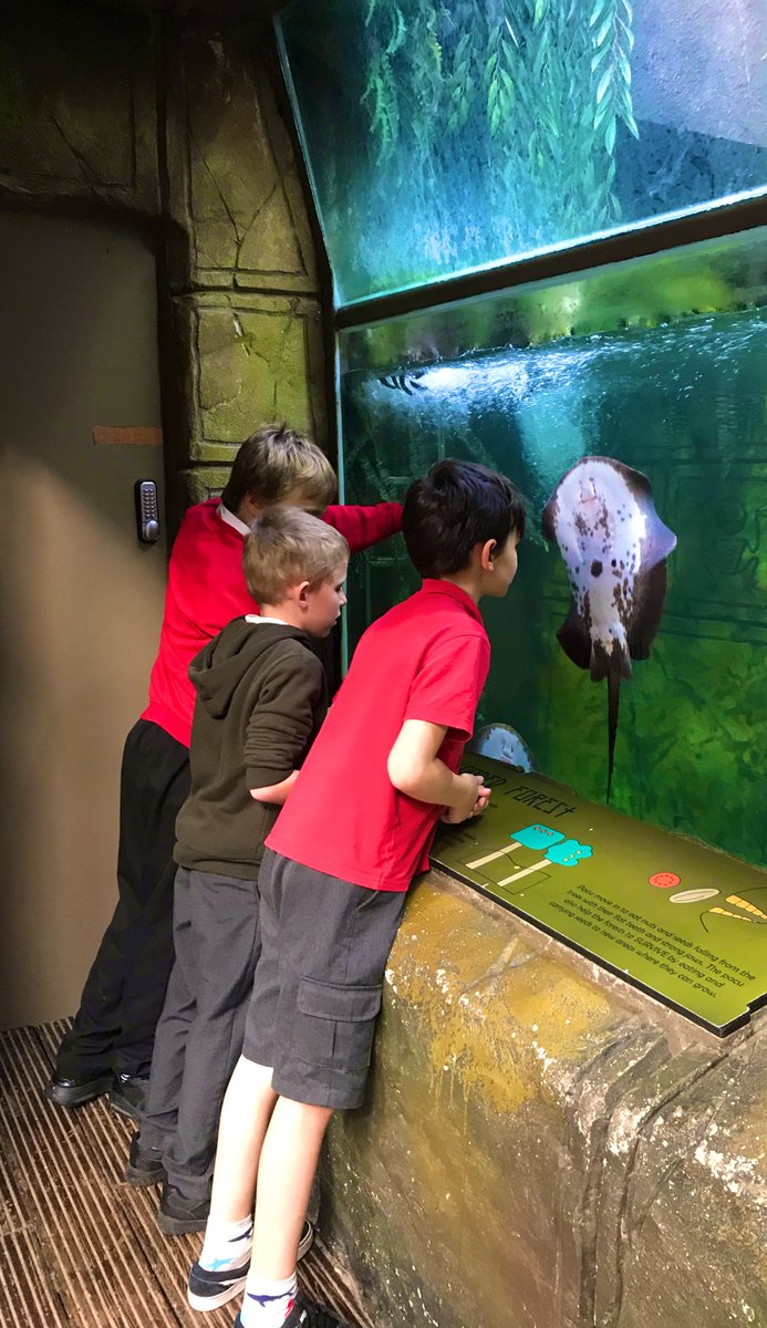 DringhousesPS's tweet photo. Class 6 and 7 have had a fantastic day at tropical world learning all about the creatures of the rainforest. We also compared our local woodlands to the understory and canopy of the Amazon! ๐ฟ๐ฆ๐ฆ๐#DringGeography #DringScience @TropWorldLeeds https://t.co/r2h0Ov9e8I