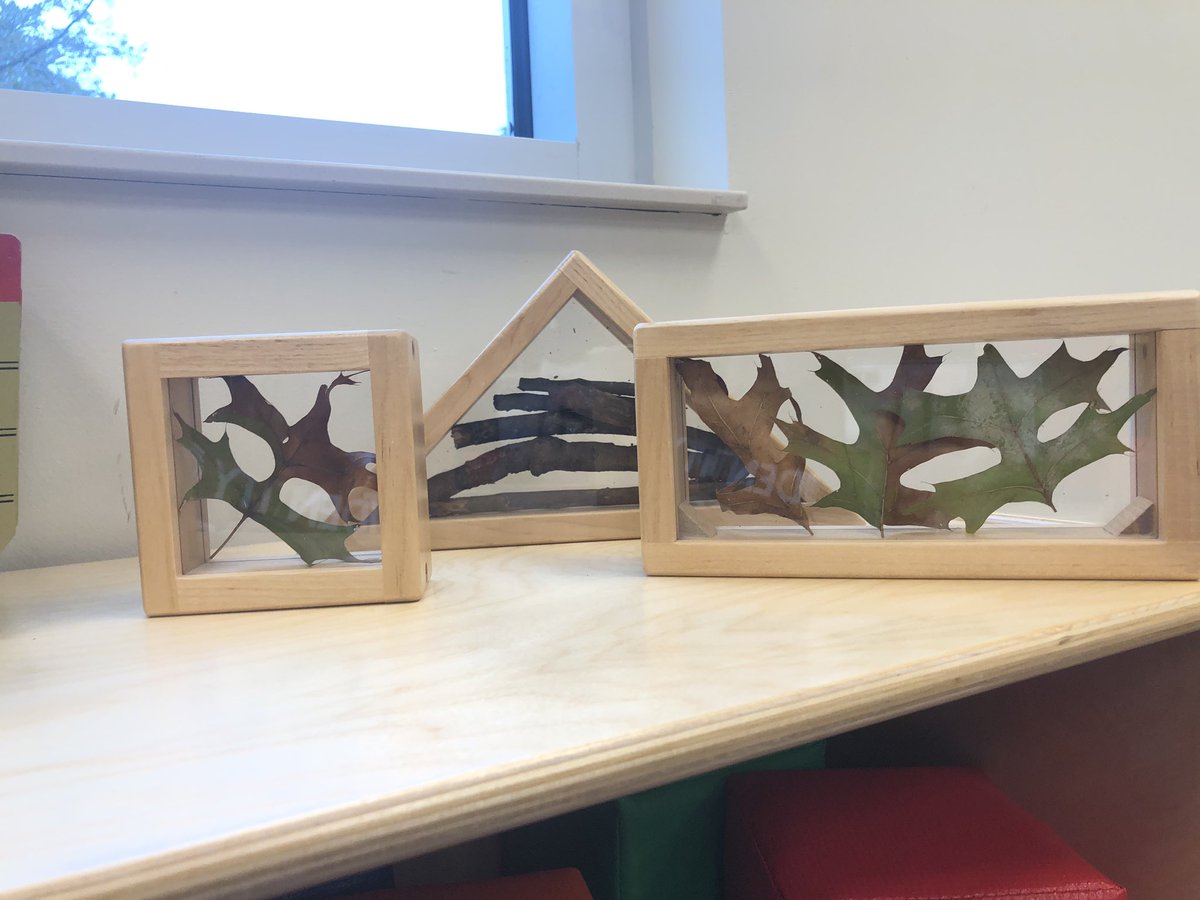 CCLSUrban's tweet photo. We got some new cool blocks today! They are loving looking at the sticks, leaves, and acorns! Welcome Fall! 🍁 🍃 🍂 @CCLSChargers https://t.co/usyKbvcE82