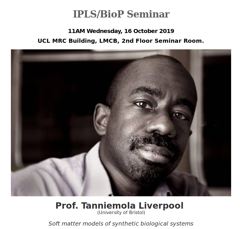This @UCL_IPLS  seminar looks amazing! On a topic I am working on and really interested in and also by a Black mathematician @tanniemola (this is rare!). Why does this happen when I am away ☹️