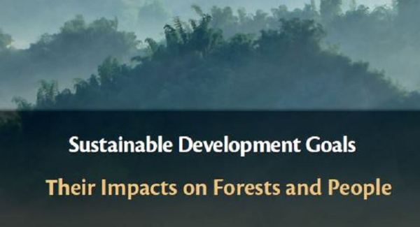 HelsinkiEU's tweet photo. Have you ever wondered that the pursuit of some #SustainableDevelopmentGoals may be harmful to #ForestEcosystems? 🏞️
Synergies on #SDGs & #forests will be studied in book developed by @IUFRO #WFSE project coordinated in #NaturalResourcesInstitute Finland
https://t.co/RkJxSJHDcr https://t.co/7echZqQQbe