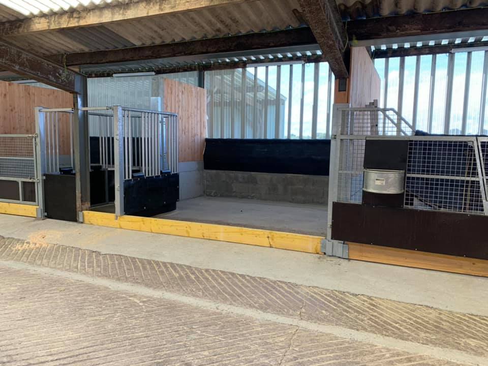 Technibelt's tweet photo. [Dernière réalisation TECHNIBELT]

Passage de tête sur barrières de stabulation avec râtelier à foin secteur pivotant.
Tout pour l'aménagement de vos stabulations ici : https://t.co/RQWVSYzvBm 

#stabulation #barrière #râtelier #pivotant #chevaux #technibelt https://t.co/CNa3a8SaNP