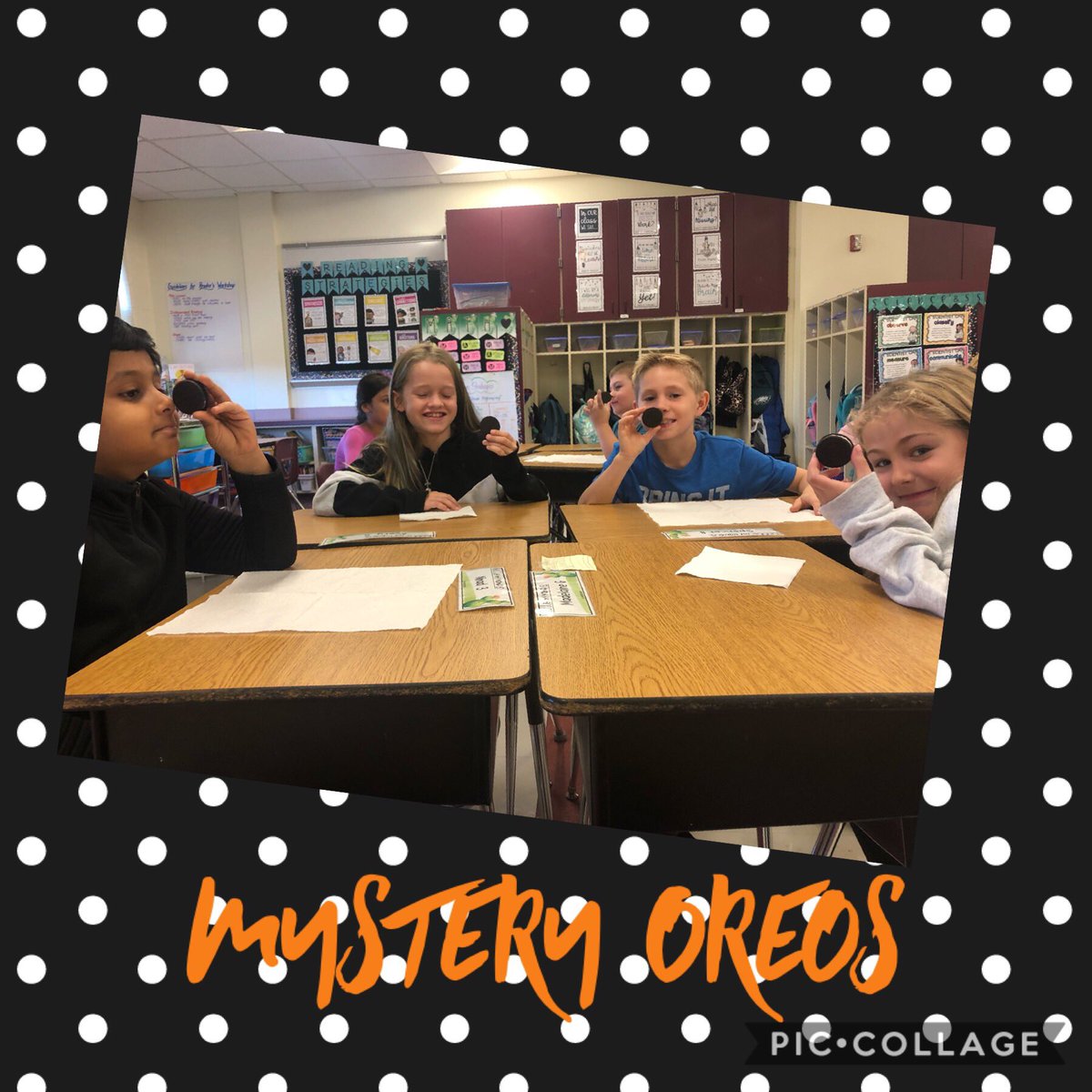 MrsKaczynski's tweet photo. Chomping into a Mystery Unit! We used our detective skills to figure out the flavor of the mystery oreo. @MissAndersonB #Jagmax https://t.co/4eWK5WQr8F