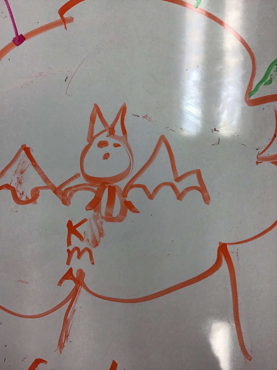 We drew a bat. First we wrote what we need and then add the details. @Alexander_CA2 KC AS MA