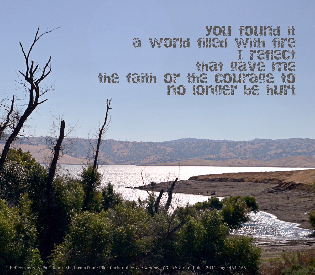 ifitfeelswrite's tweet photo. For those following my https://t.co/6o86SKbi8h #ThePoeming project or who’ve seen my last 2 weeks of strange poetry posts, please know this is not my usual style or even my own words (it’s all my photography!) I’m having a blast experimenting with #foundpoetry & new-to-me forms! https://t.co/uXHEtssLQd