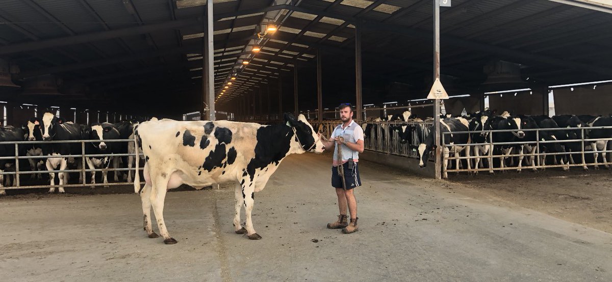 Thomas Reilly tweet media