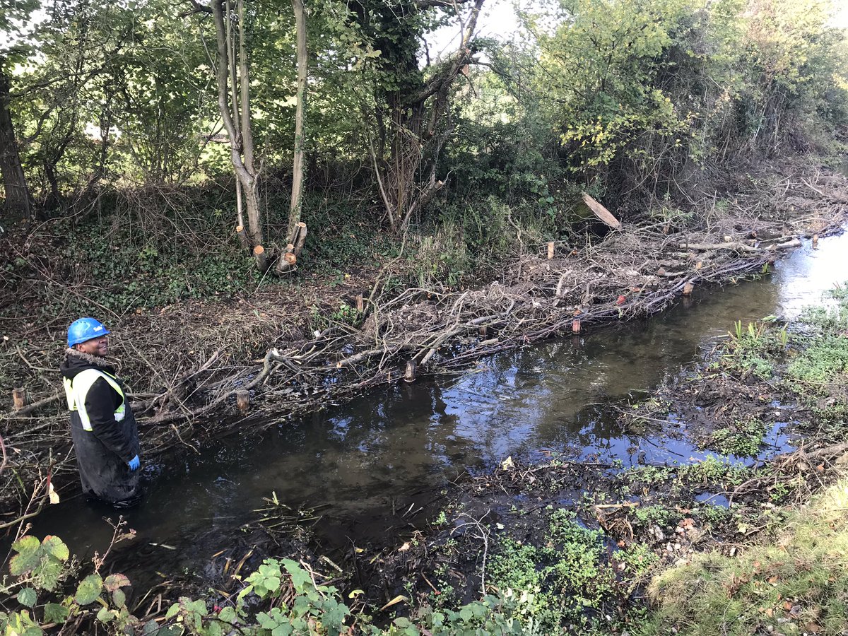 Rather than restoring the  #Ver to health by obliging Affinity to stop extracting ruinous amounts of water, the Environment Agency are instead trying to make the waters flow faster by digging up the river & making the channel narrower. Window dressing combined with uglification.