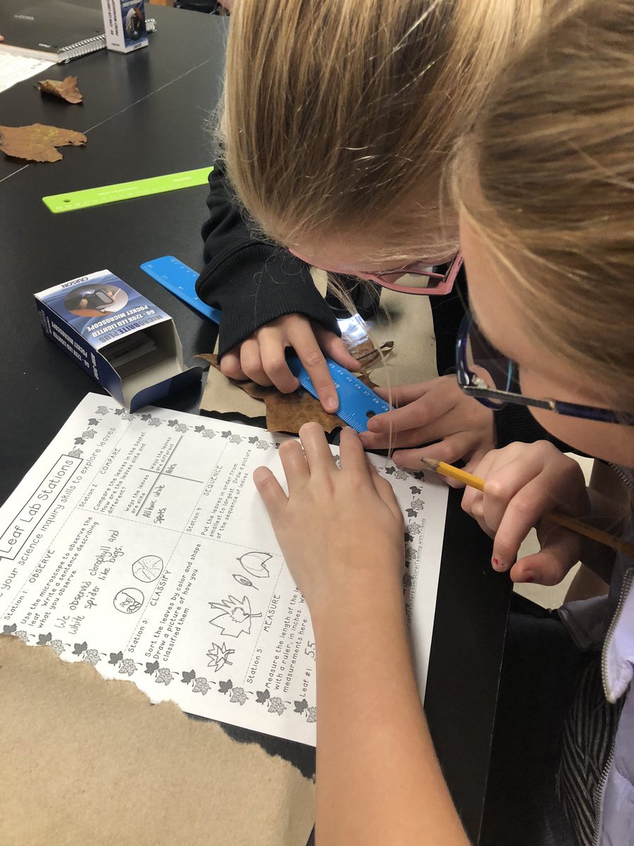 amandamae723's tweet image. Why do leaves “change” colors in the fall? These 6th grade scientists are going to find out! #LabDay #RMSbulldogs @RidgewoodMS