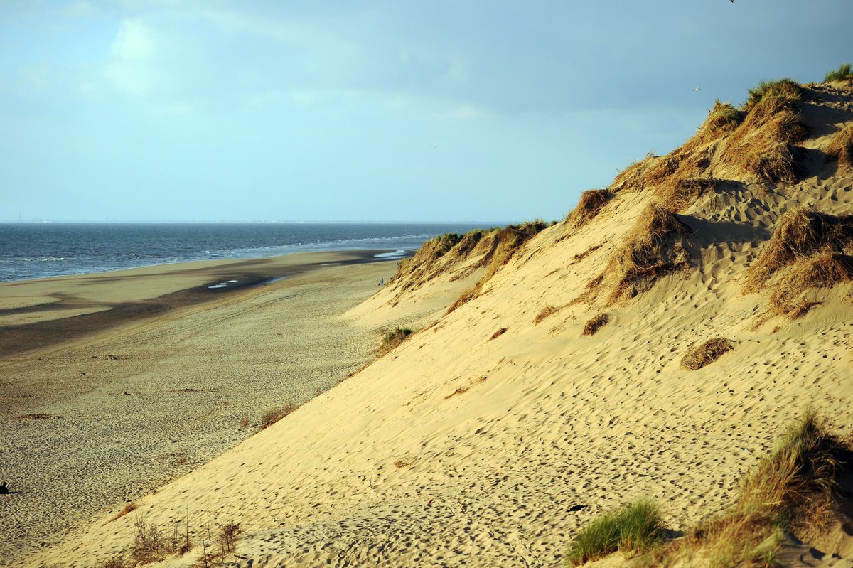 Fancy spreading the word about all of the important work we do looking after Formby? We're looking for a part-time Marketing &amp; Communications Officer to join our friendly and passionate team.

Apply by 28 October: ow.ly/SC8v50wLo2A