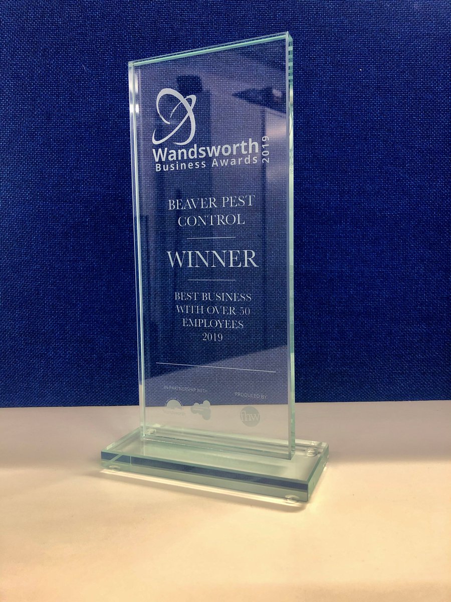 What a wonderful thing to come home to ! I was walking my charity walk in Morocco when I heard that we had won an award.............. <a href="/wandsawards2019/">Wandsworth Awards'19</a> 💙💙💙