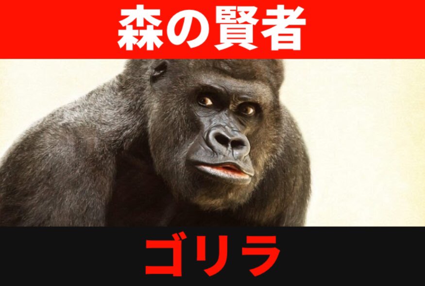 ダ ダ 恐山 森の賢者 ゴリラ 今宵も知能の高いゴリラが 死 の概念にツッコミまくる ゴリラ はぁ 生きるの疲れたな おっ 苦労のない穴 あるやん さっそく入ってみよかな いや 永遠 とわ かい Twitter