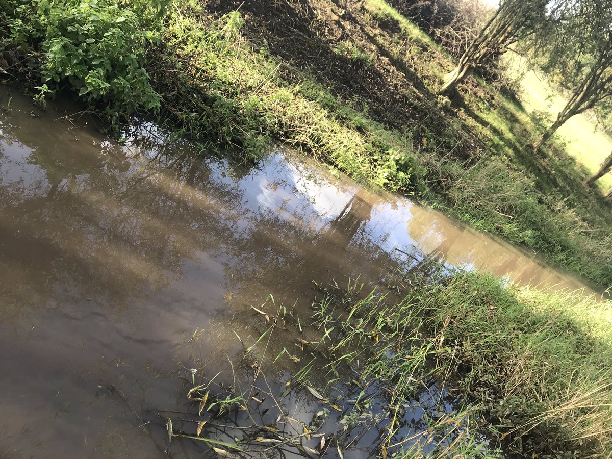 The silt - a pollutant - is now flowing downriver, at precisely the time of year when trout wil be looking to lay eggs on gravel in clear, pristine water.  @Feargal_Sharkey wonders why no silt curtain has been installed while the work is on-going...