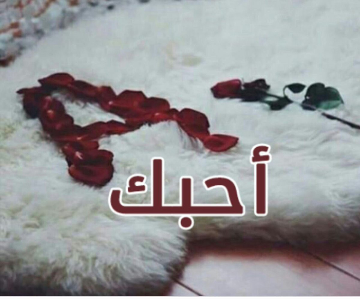 ابيـك لــو كــل البشــر يمـنعوني
انــتِ منـات الـروح وانـتِ حياتي
ابيـك يـانصفي الثّــاني وكّــوني
ذاتــك ذاتــــي وحَــياتك حــياتي
انـــتِ نبضي وانفاسي وعـيوني
وجودك تجميعي وبعــدك شتّاتي
ياجاهلين الحب لحضه افهموني
ياجاهلين هــذي حـياتي مـماتي

♥♥