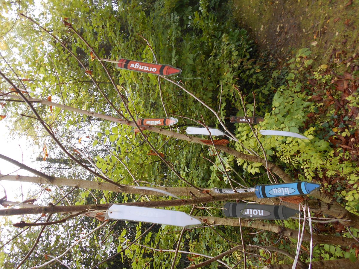 PendockPrimary's tweet photo. So much fun exploring french colours in relation to Castle and Sun by Paul Klee at forest school #notmuchbleu #French #outdoorlearning #frenchtree #mindthefairyring #art #PaulKlee https://t.co/zP3x3vYVzU