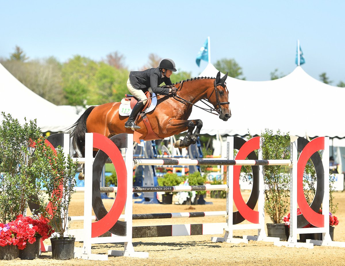 AnneKursinski's tweet image. Learn from Olympian Anne Kursinski at her Market Street Clinic in New Jersey November 15-17 🐴 marketstreetinc.com/AnneKursinskiC… - mailchi.mp/spottedtoaddes…