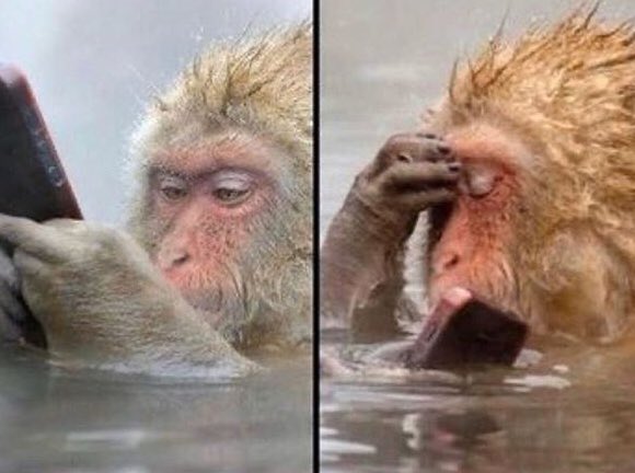 FeetFinder.com tweet media