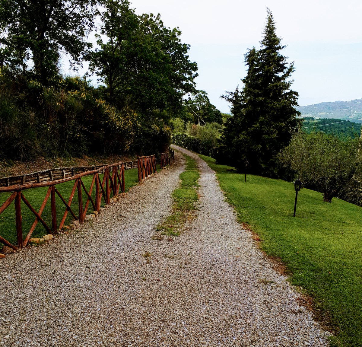 rita_moscatelli's tweet photo. #AlcuneStrade  non sono facili da percorrere, ma passo dopo passo   portano a destinazione e, mentre camminiamo, ammiriamo il panorama https://t.co/md8HSXDbyb