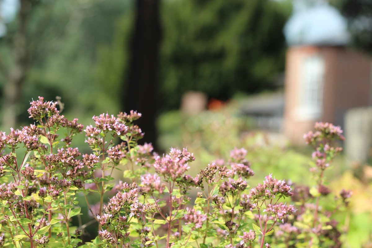 We’re excited to our announce our Building a Legacy project. We have four information sessions to tell you all about it, with the first being at 6pm tonight at Willen Hospice. You can read more about it here: willen-hospice.org.uk/Blog/blog-arti…